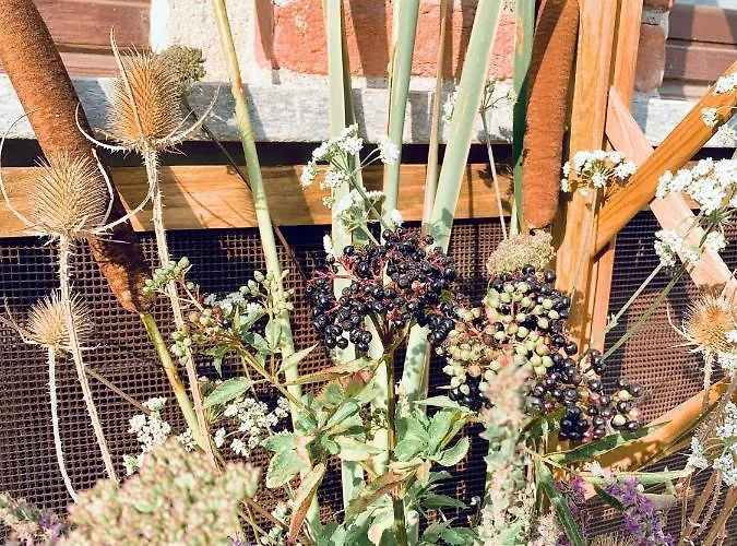 Penzion Cascina Viaris Pavarolo